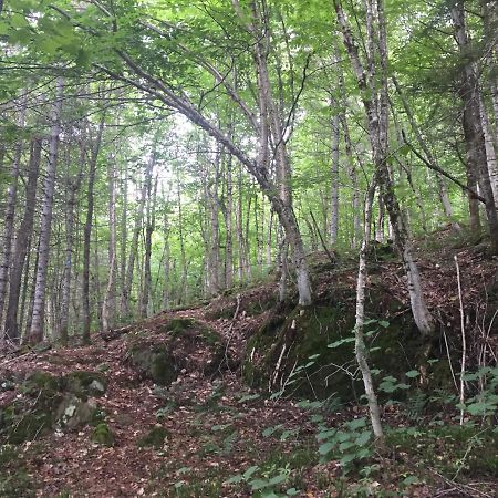 Chalet Nature Laurentides Val-des-Lacs Luaran gambar