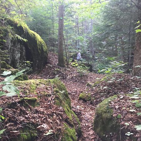 Chalet Nature Laurentides Val-des-Lacs Luaran gambar