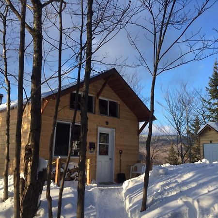 Chalet Nature Laurentides Val-des-Lacs Luaran gambar
