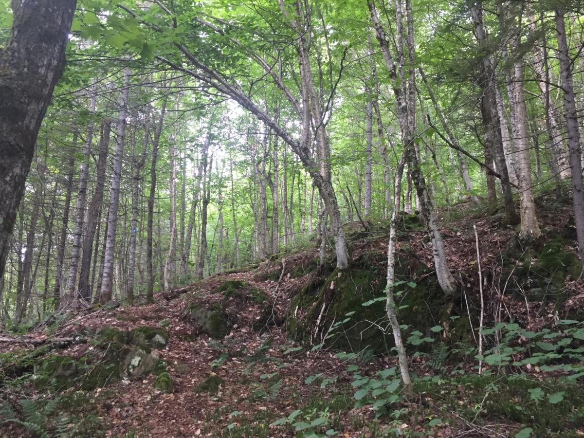 Chalet Nature Laurentides Val-des-Lacs Luaran gambar