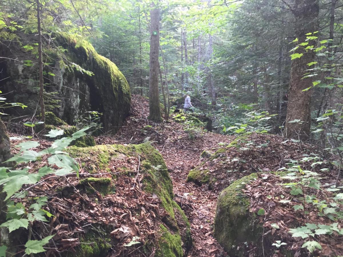 Chalet Nature Laurentides Val-des-Lacs Luaran gambar