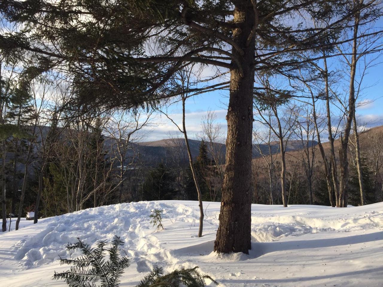 Chalet Nature Laurentides Val-des-Lacs Luaran gambar